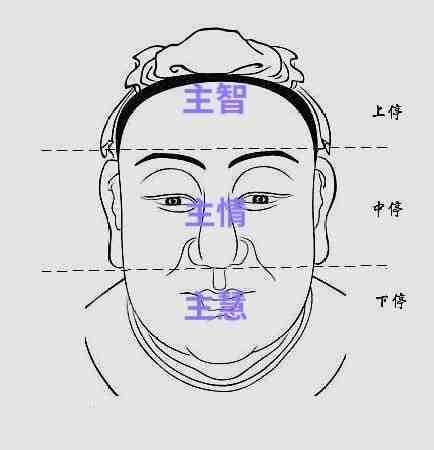 眉毛的面相|眉毛的面相特征